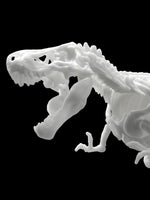 Dinosaur Skeleton Tyrannosaurus Rex Model Kit