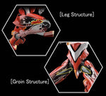 RG Evangelion Unit-02