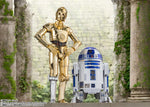 S.H. Figuarts - Star Wars: A New Hope - C-3PO (Classic Ver.)