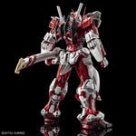 High-Resolution Model - 1/100 Scale Astray Red Frame