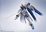 Metal Robot Spirits: ＜SIDE MS＞ Strike Freedom Gundam (Re:Coordinate)