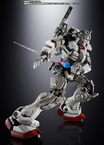 Chogokin: Mobile Suit Gundam: Requiem for Vengeance - Gundam EX - P-Bandai