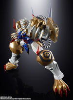 SOC GX-119 Super Robot Wars OG: Original Generation Dragon Tiger King / Tiger Dragon King