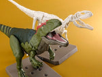 Plannosaurus Giganotosaurus Model Kit