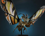 Godzilla: King of the Monsters DefoReal Mothra