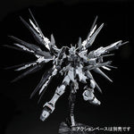 RG Strike Freedom Gundam (Deactive Mode) - P-Bandai Exclusive