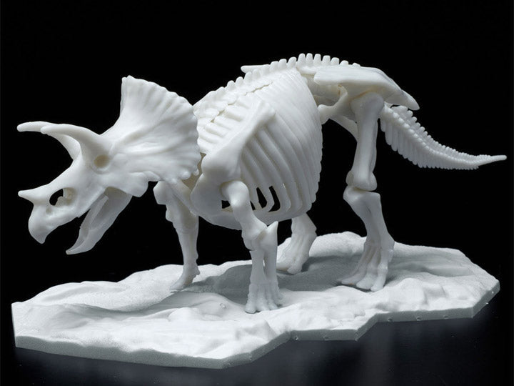 Dinosaur Skeleton Triceratops Model Kit