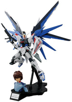 MG Freedom Gundam Ver.2.0 & Kira Yamato
