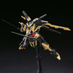 HGBF#055 Gundam Schwarzritter