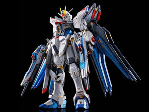 RG Strike Freedom Gundam (Titanium Finish) - P-Bandai Exclusive