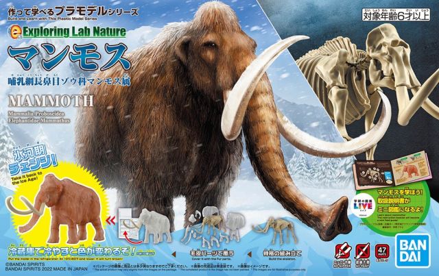 Exploring Lab Nature Mammoth Color Changing Model Kit