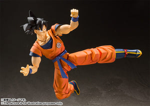 S.H.Figuarts Son Goku (A Saiyan Raised On Earth)